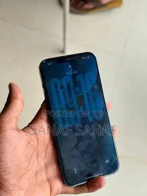 Apple iPhone 12 Pro Max (Used)