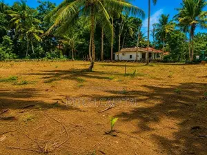 මිදිගමින් අගනා බිම් කොටස්