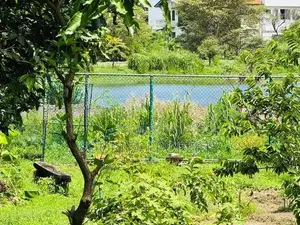 30 Perches Land for Sale in Nugegoda