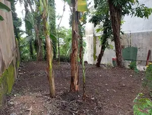Land for Sale in Thalangama South