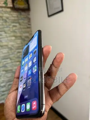 Apple iPhone XS Max 512GB (Used)