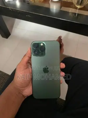Apple iPhone 13 Pro Max (Used)