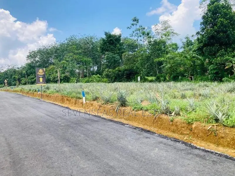 Land For Sale in Eheliyagoda
