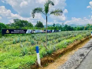Land For Sale in Eheliyagoda