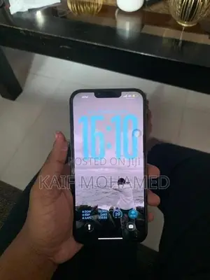 Apple iPhone 13 Pro Max (Used)