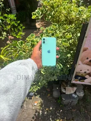 Apple iPhone 11 (Used)