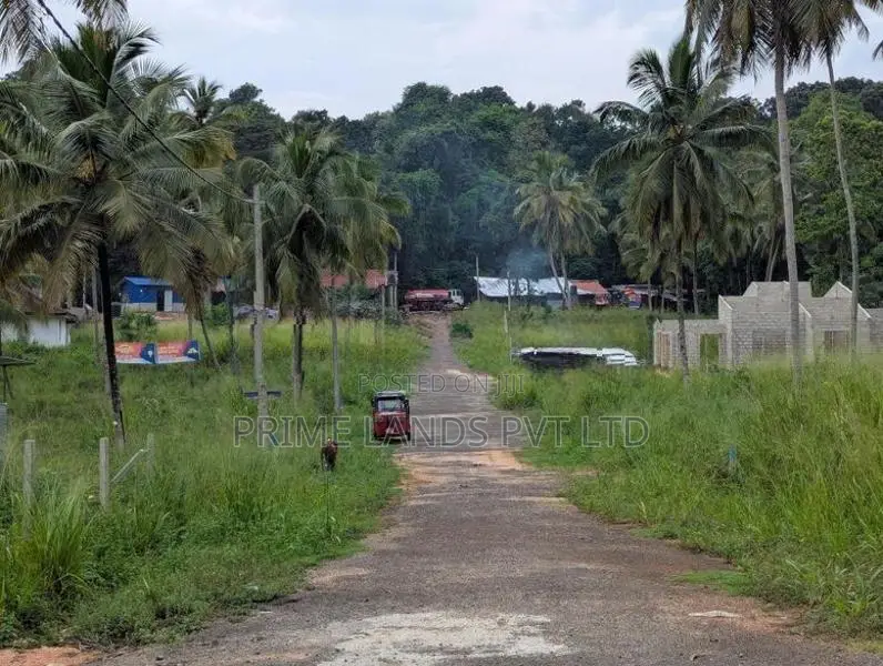 Main Road Facing Lands Project
