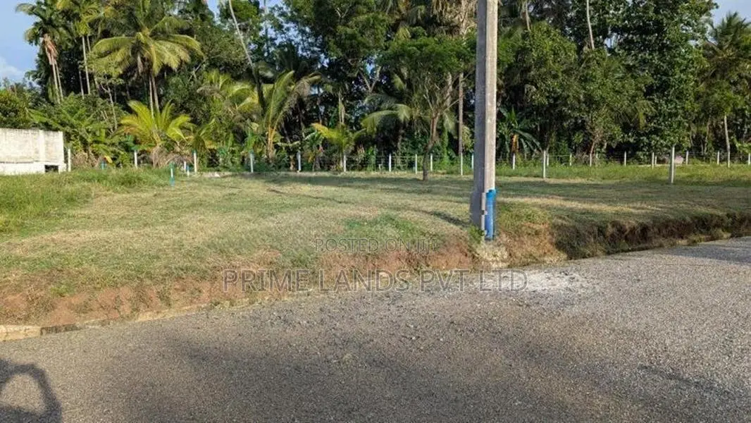 Main Road Facing Lands Project