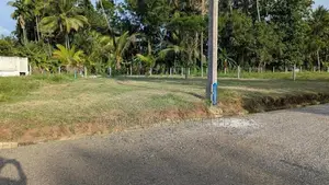 Main Road Facing Lands Project