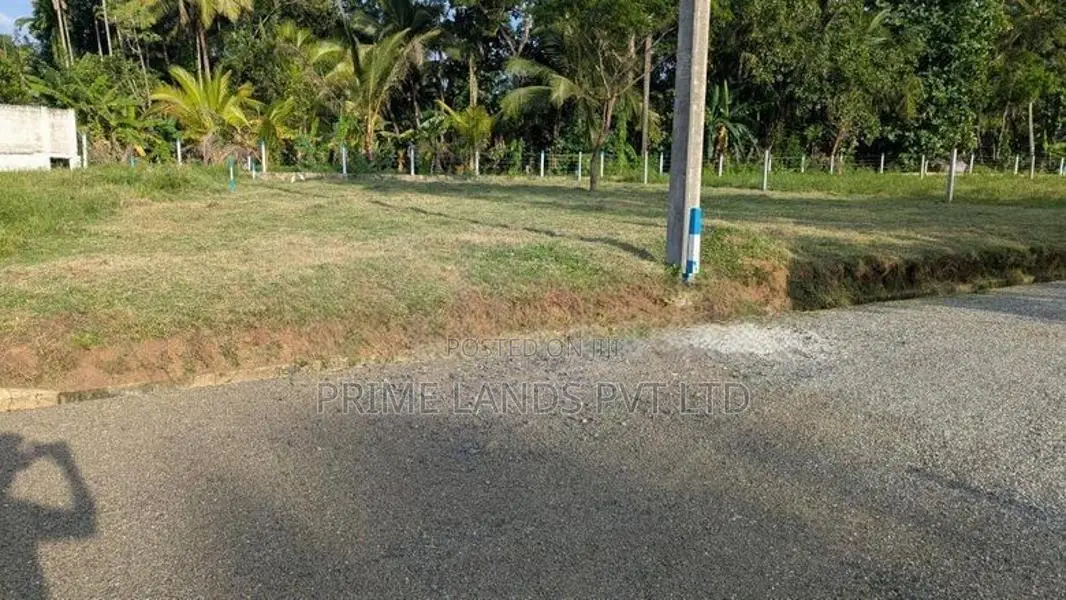 Main Road Facing Lands Project