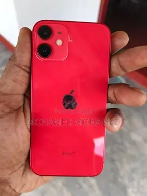 Apple iPhone 12 mini (Used)