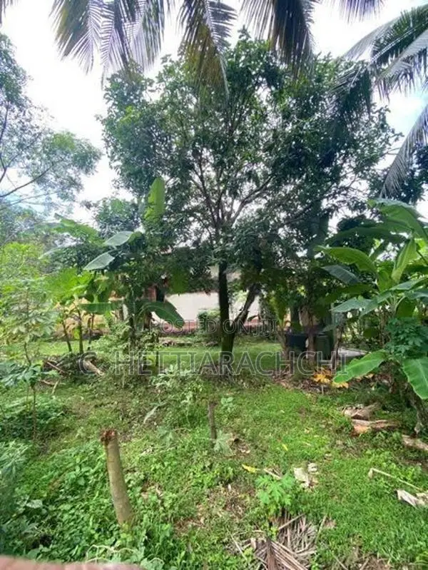 Two Storey House for Sale Makola North