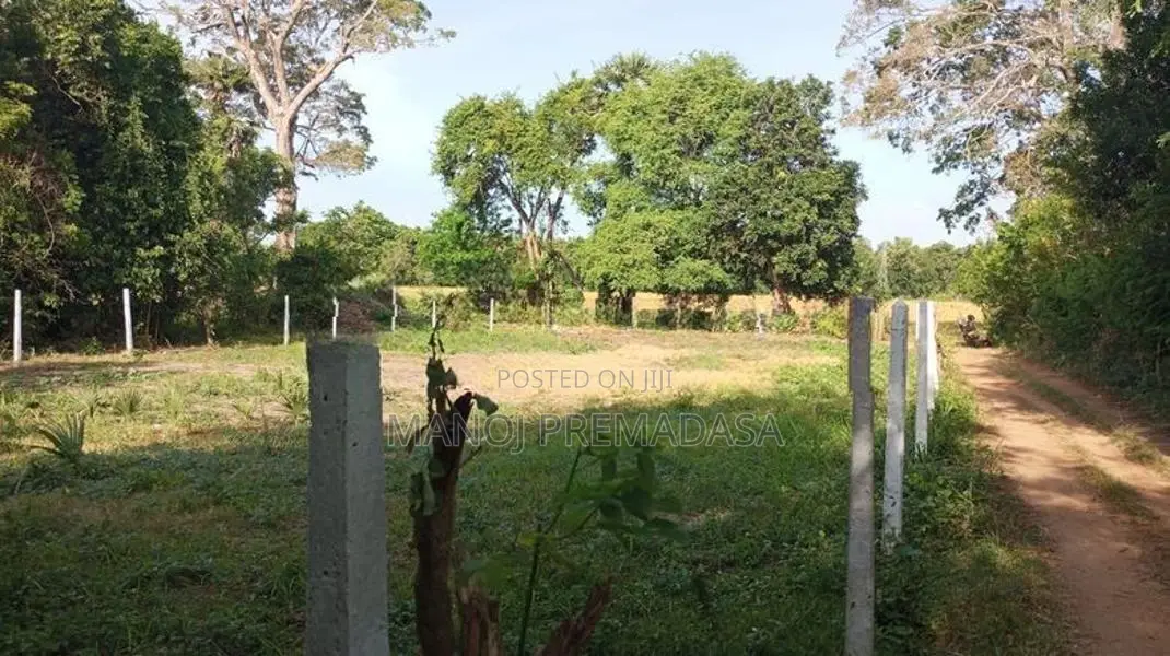 Land For Sale in Habarana