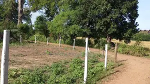 Land For Sale in Habarana