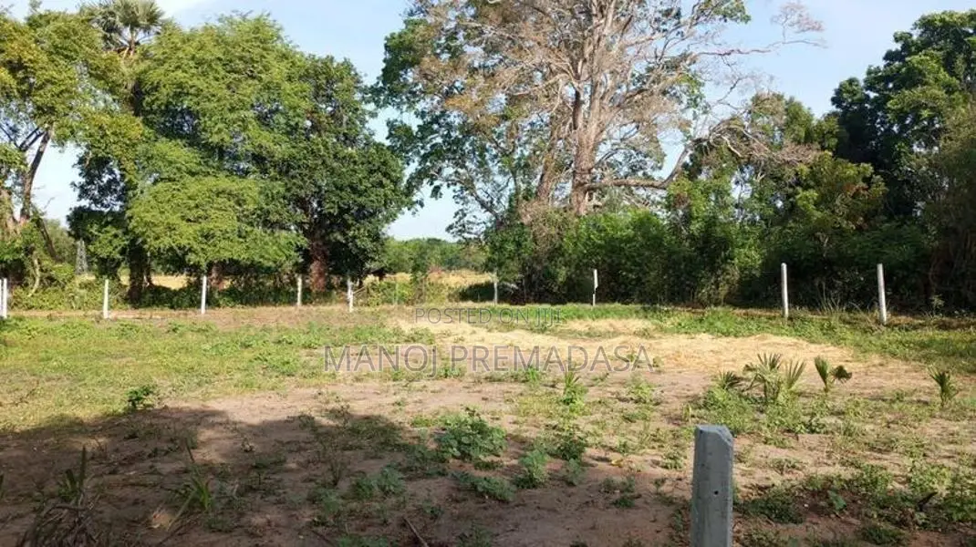 Land For Sale in Habarana