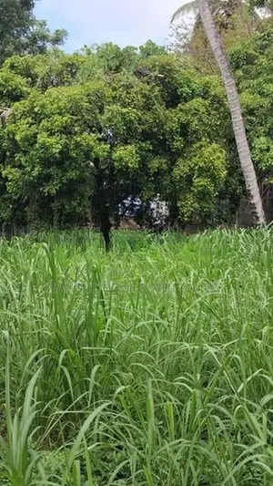 Super Land for Sale in Dehiwala