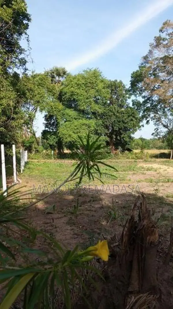 Land For Sale in Habarana