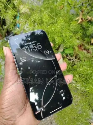 Apple iPhone 13 Pro Max (Used)