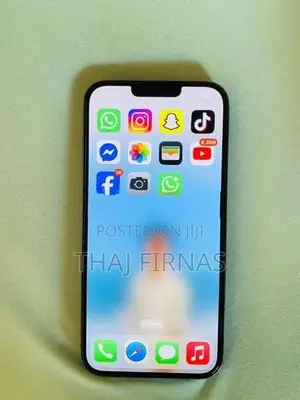 Apple iPhone 13 Pro Max (Used)