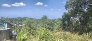 Sea View Land for Sale at Hapugala