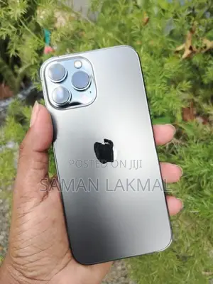 Apple iPhone 13 Pro Max (Used)