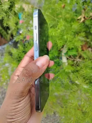 Apple iPhone 13 Pro Max (Used)