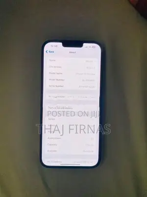 Apple iPhone 13 Pro Max (Used)