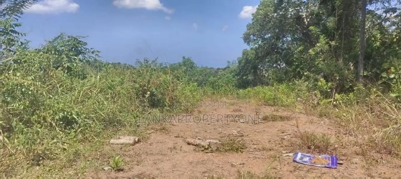Sea View Land for Sale at Hapugala