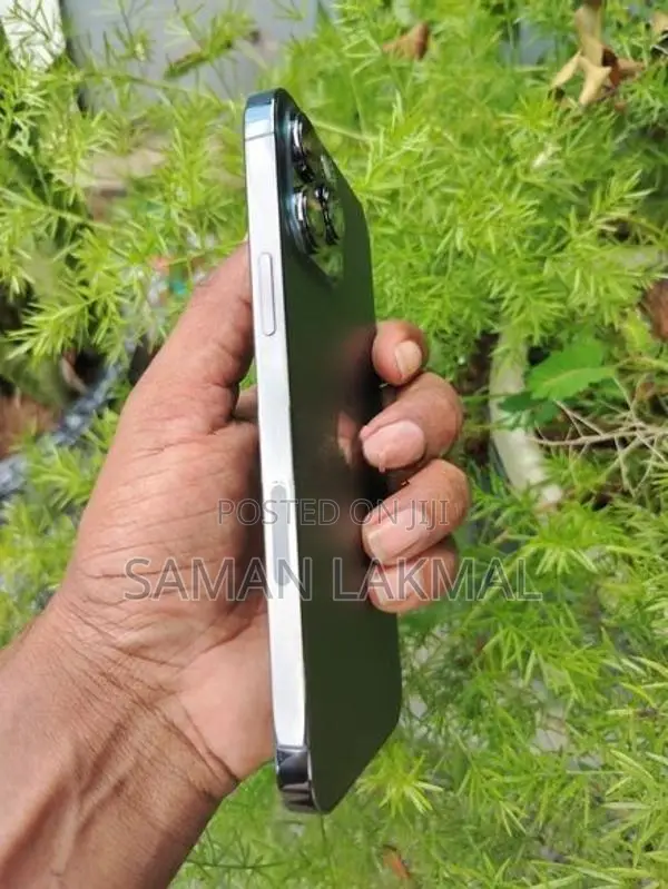 Apple iPhone 13 Pro Max (Used)