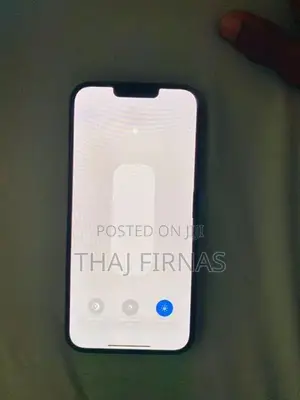 Apple iPhone 13 Pro Max (Used)