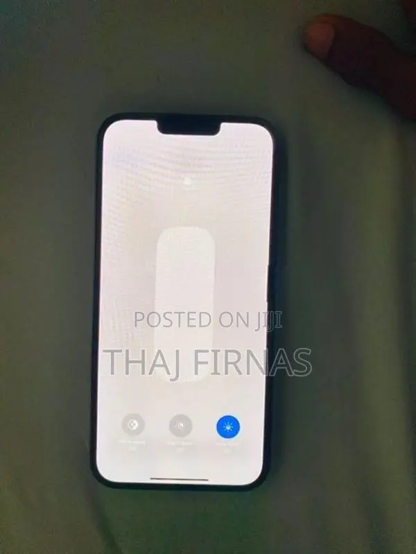 Apple iPhone 13 Pro Max (Used)