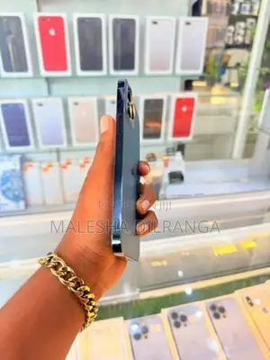 Apple iPhone 12 Pro Max (Used)