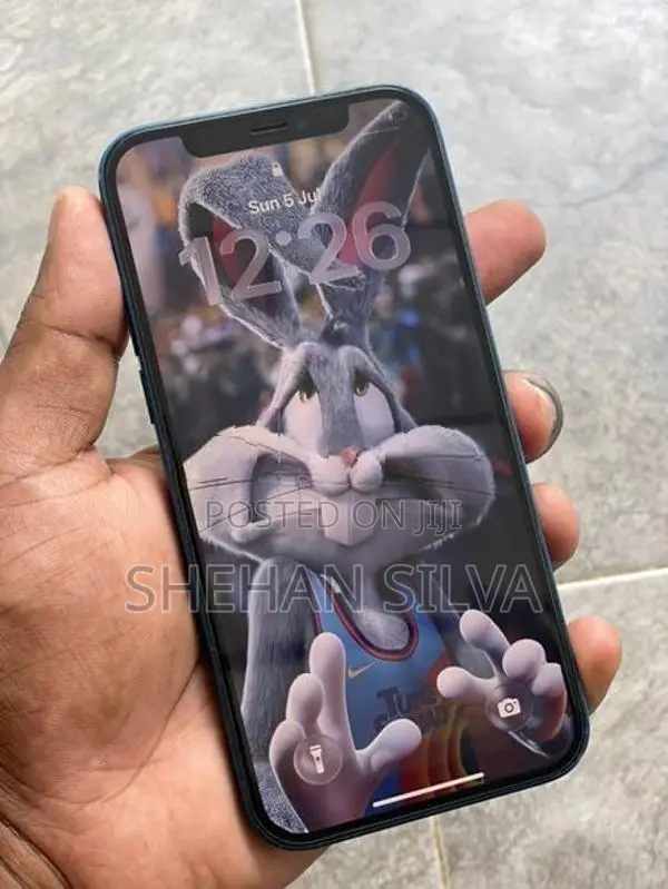 Apple iPhone 12 (Used)