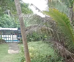 On the Beach Land for Sale in Beruwala – 34 Perches