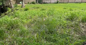 On the Beach Land for Sale in Beruwala – 34 Perches