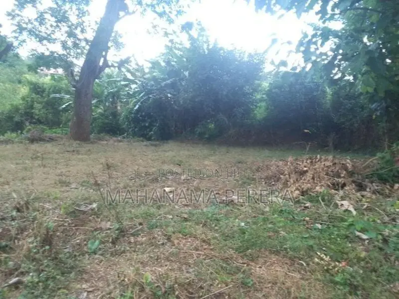 Land Sale in Kandy