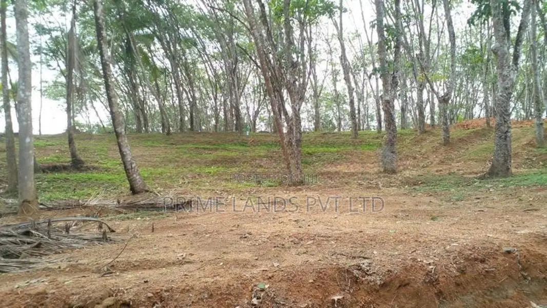 Land for Sale in Ahangama