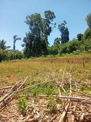 ඌව පරණගම, පහලදංගමුව ඉඩමක් විකිණීමට