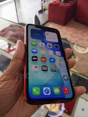 Apple iPhone 11 (Used)