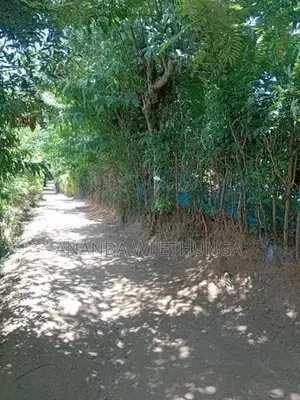 ඌව පරණගම, පහලදංගමුව ඉඩමක් විකිණීමට