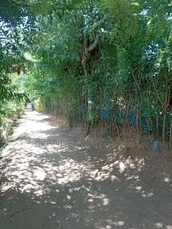ඌව පරණගම, පහලදංගමුව ඉඩමක් විකිණීමට