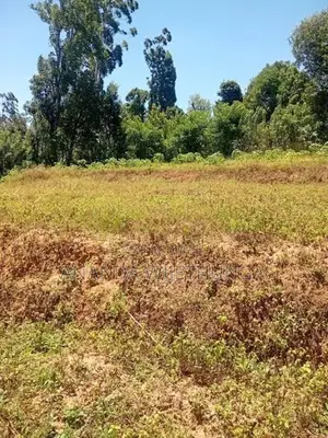 ඌව පරණගම, පහලදංගමුව ඉඩමක් විකිණීමට