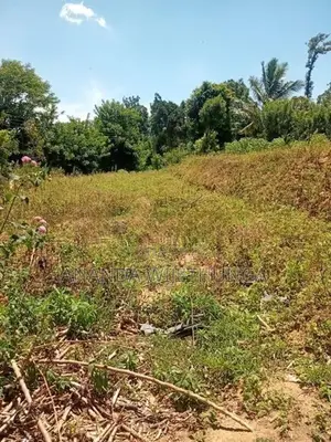 ඌව පරණගම, පහලදංගමුව ඉඩමක් විකිණීමට