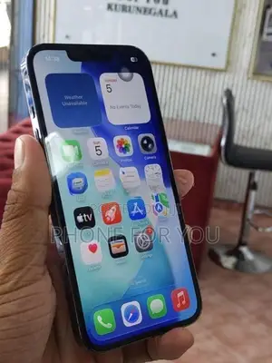 Apple iPhone 13 Pro (Used)