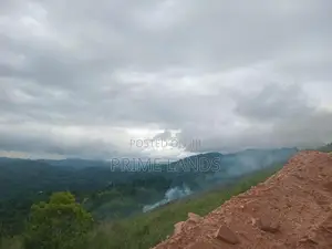 Land for Sale Nillamba