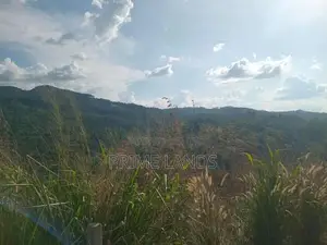 Land for Sale Nillamba