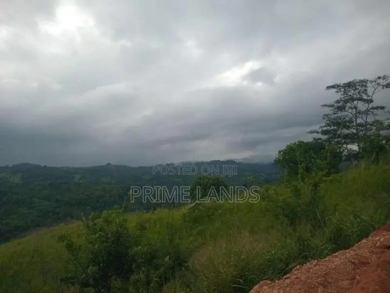 Land for Sale Nillamba