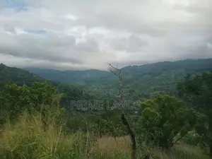 Land for Sale Nillamba