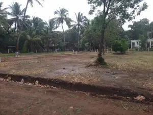 අනුරාධපුර සින්නක්කර ඔප්පු සහිත බිම් කොටස් පූජා නගරයට ලගින්ම