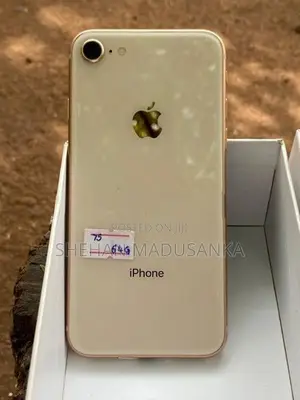 Apple iPhone 8 (Used)